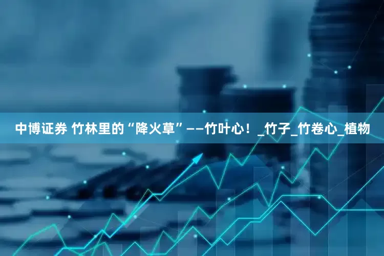 中博证券 竹林里的“降火草”——竹叶心！_竹子_竹卷心_植物