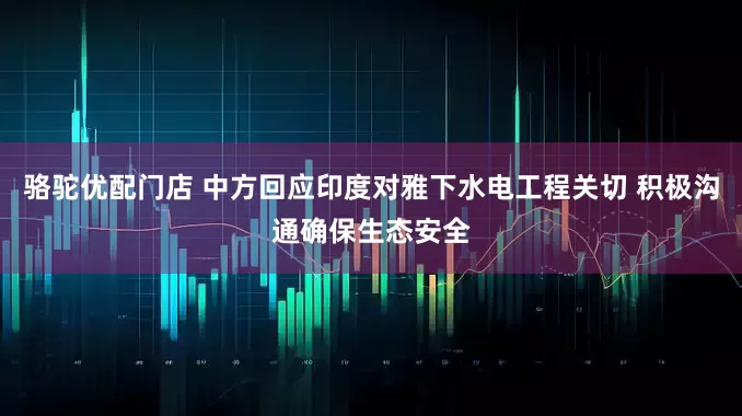 骆驼优配门店 中方回应印度对雅下水电工程关切 积极沟通确保生态安全